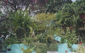 Blue Mango Cottages